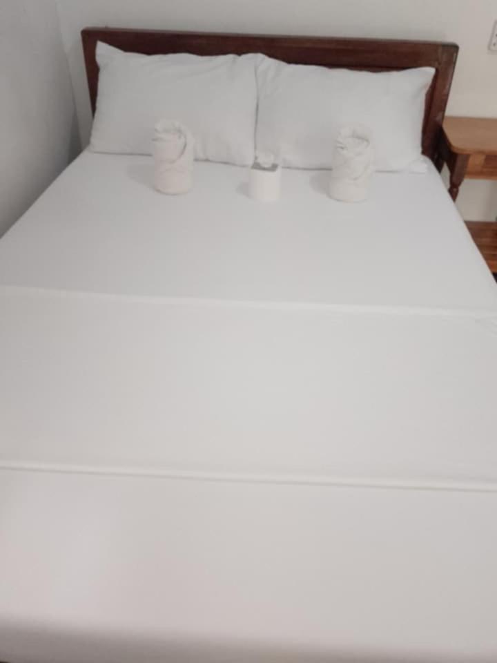 Jeno Tourist Inn 圣维森特 外观 照片