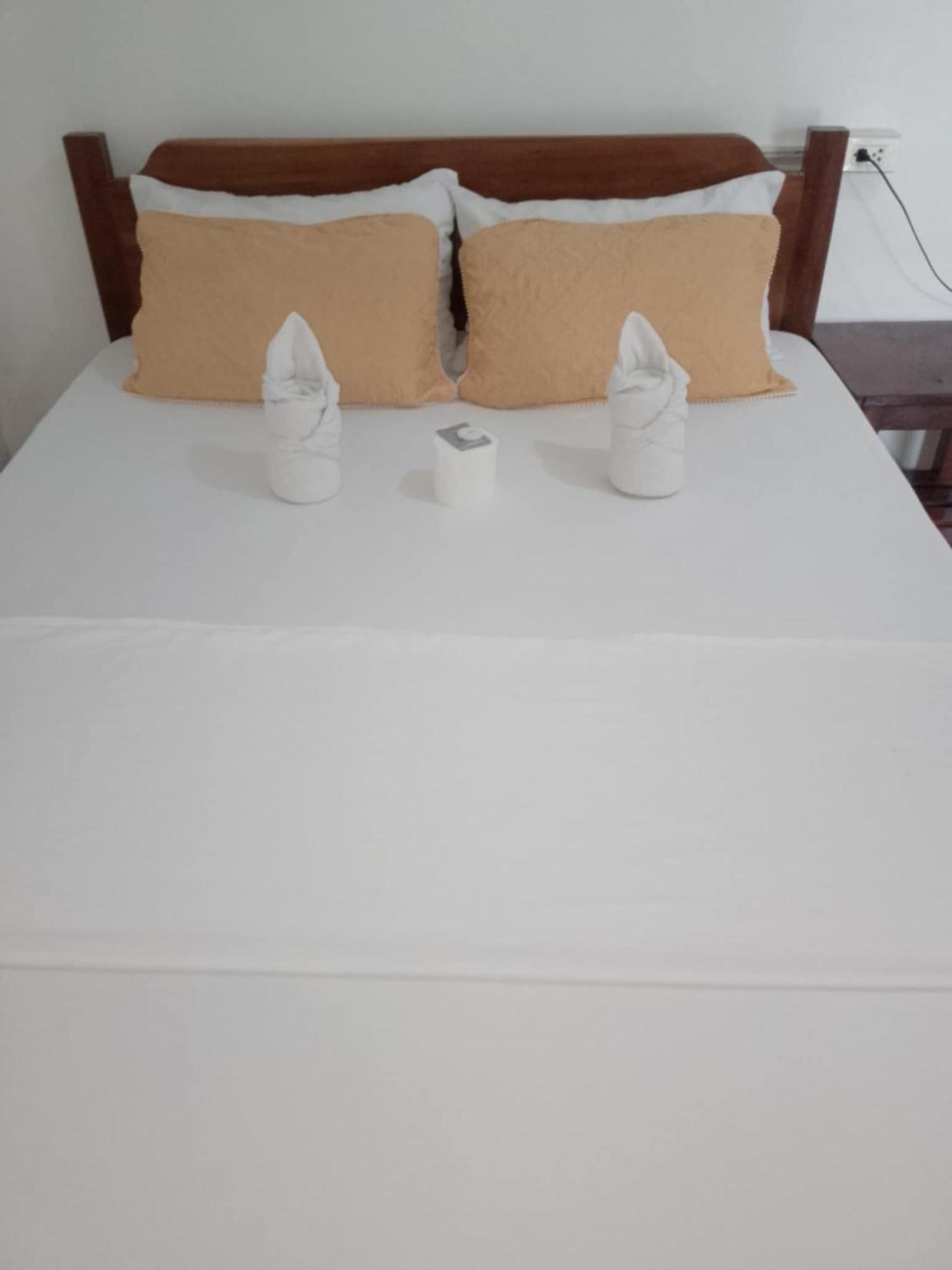 Jeno Tourist Inn 圣维森特 外观 照片
